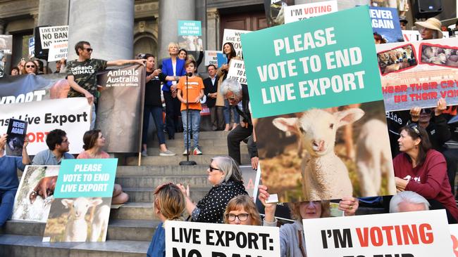 A live export protest at Parliament House, Adelaide, earlier this year. Picture: AAP