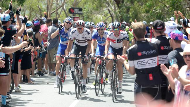 Great news ... fans cheering on the TDU peloton at Willunga Hill to end Stage 5. Picture: Tom Huntley