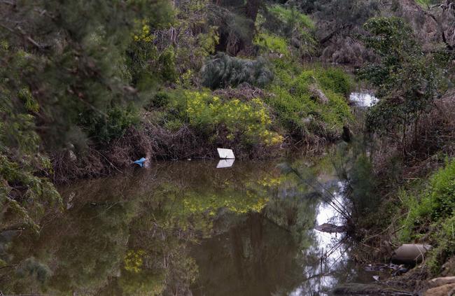 Picton’s Stonequarry Creek. Picture: Jenny Evans