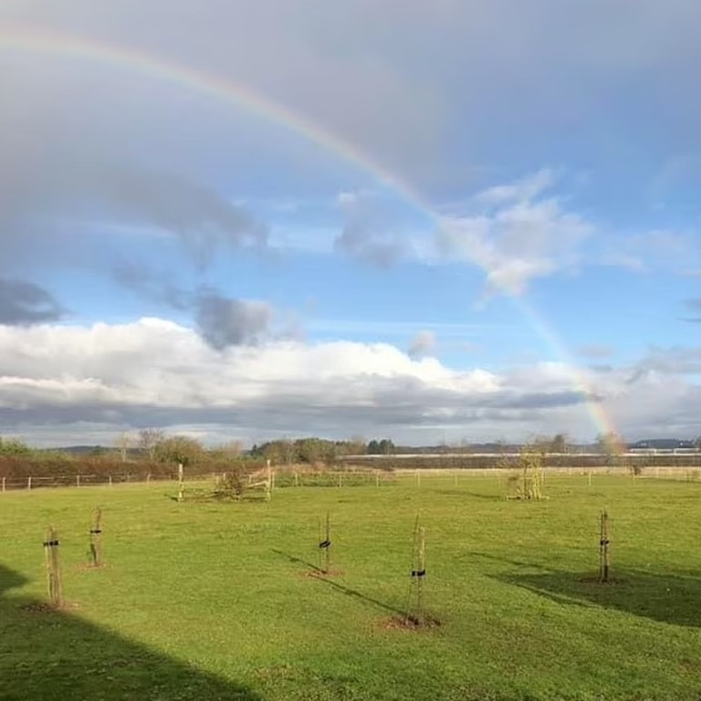 The couple bought a house with an outbuilding set on 17 acres of land for £100,000 in 1986. Picture: Facebook