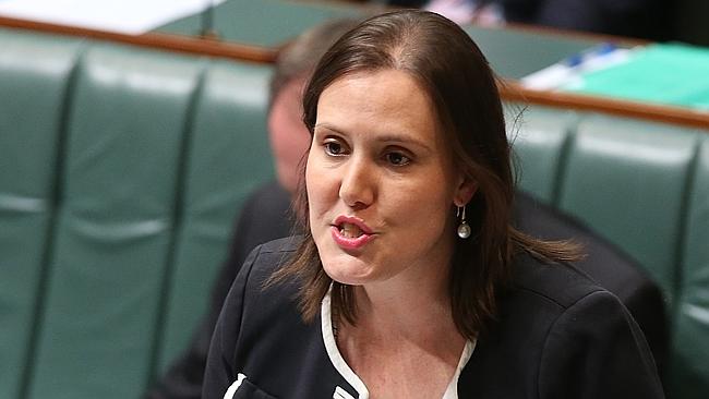 Kelly O’Dwyer votes for motion criticising Coalition by accident | news ...