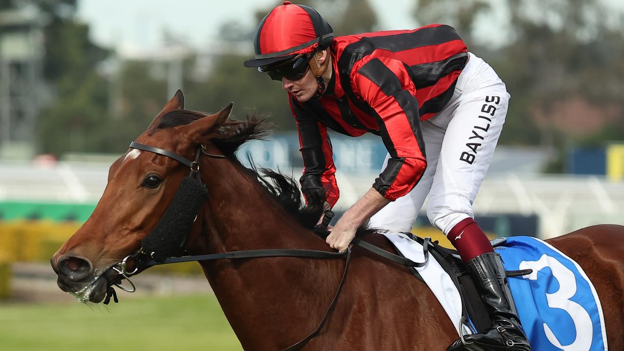 Victorian visitor Amberite provided trainer Matt Laurie with his first winner in Sydney at Rosehill. Picture: Getty Images