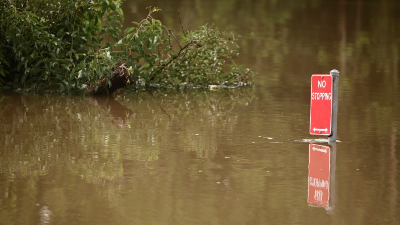 NSW Emergency Services Minister determined to get everyone 'back on their feet' amid flooding