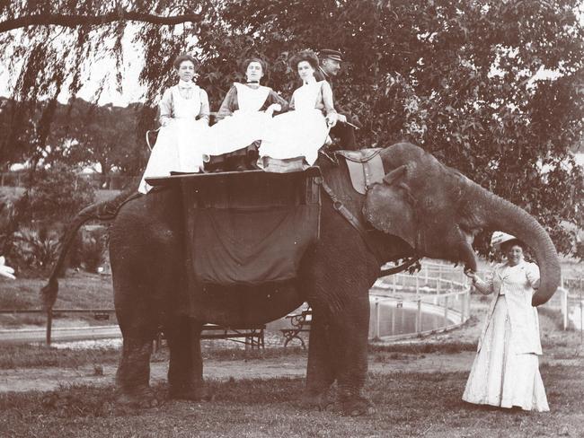 Three women take an elephant ride in an early undated photo of Taronga Zoo in Sydney