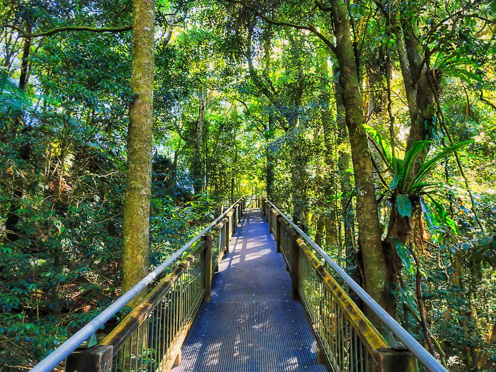 Passengers will get to see the Gondwana Rainforests of Australia.