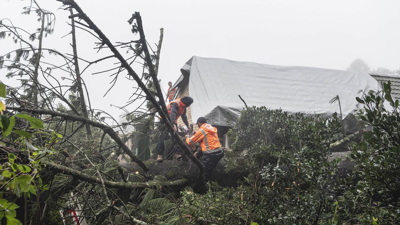Motel Glenworth, the house next door on Margaret St and a car were damaged when a large tree was brought down in the aftermath of ex-tropical cyclone Alfred, Monday, March 10, 2025. Workers from 81Plumb tarp the area and make the scene safe. Picture: Kevin Farmer