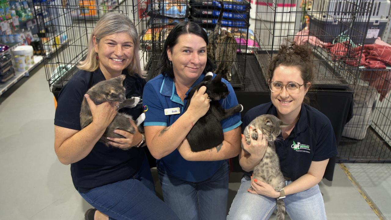 Petstock Street Cat Alliance teams up for adopt a pet month The Chronicle