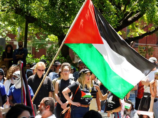 Executive Council of Australian Jewry co-CEO Alex Ryvchin says not all charities supporting Palestine are trustworthy. Picture: Luis Enrique Ascui