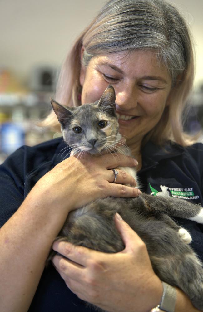 Tracey Tyers from Street Cat Alliance holds one of the rescue kittens available for adoption. Picture: Christine Schindler