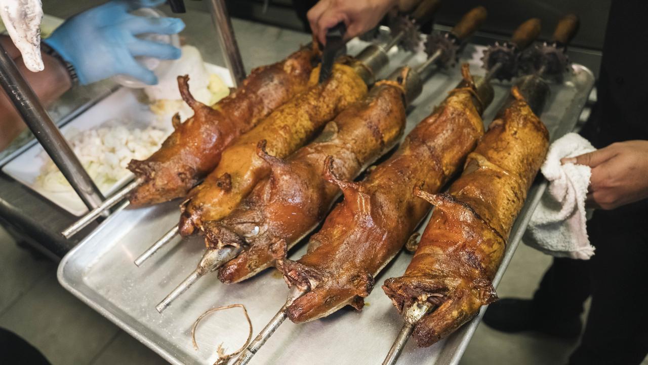 Guinea pigs at the La Casa Del Cuy. 8 La Casa Del Cuy has become a fixture in Queens for roasting and serving the whole guinea pig or cuy whole — essentially every part but the “squeak.” Picture: Courtesy Stefano Giovannini for New York Post