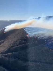 A new blaze broke out in Ventura County on Thursday morning. Picture: X@VCFD_PIO