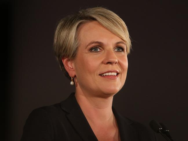 Tanya Plibersek is a possible Labor leadership candidate.