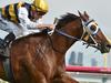 Weekend Best Bets