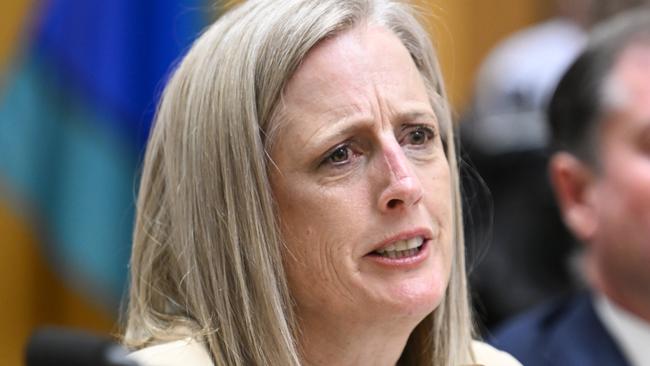 Katy Gallagher said it appeared Peter Dutton has stolen another policy from Donald Trump. Picture: NewsWire / Martin Ollman