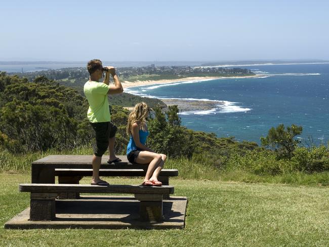 Bateau Bay was also a hotly contested suburb for property hunters over Christmas (photo: Destination NSW).