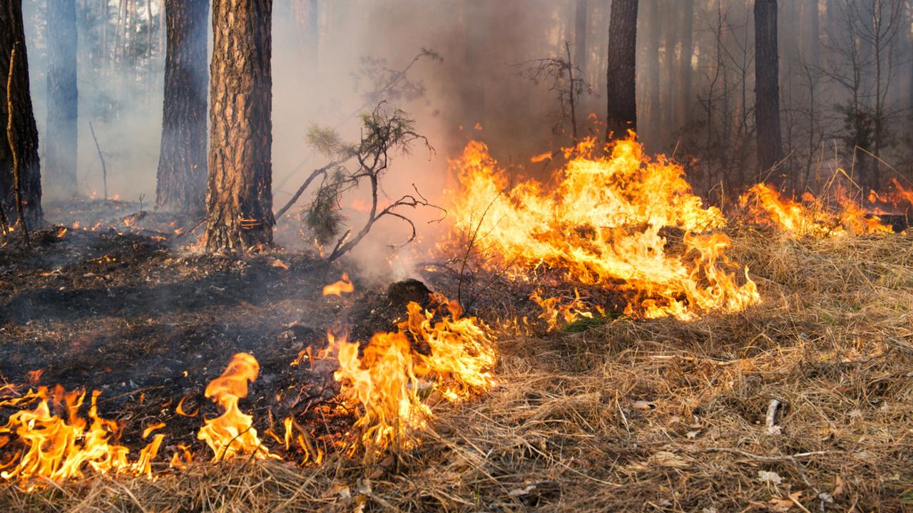 As of Friday afternoon the fire is stationary, but not yet contained or controlled, having burned through 1820ha of land. Picture: City of Wanneroo