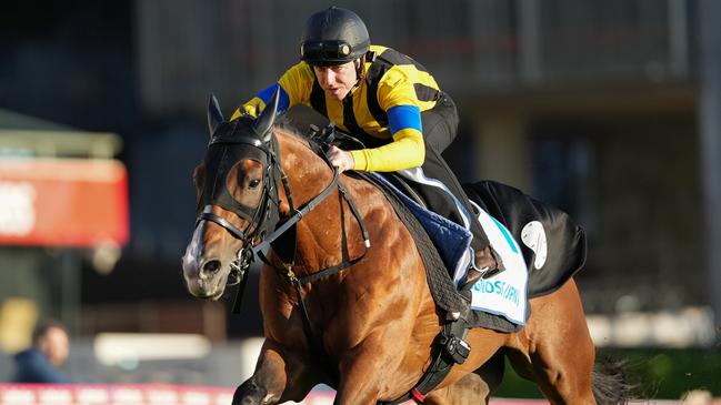 Damian Lane puts Cox Plate favourite Prognosis through his paces at The Valley last week. Picture: Racing Photos via Getty Images