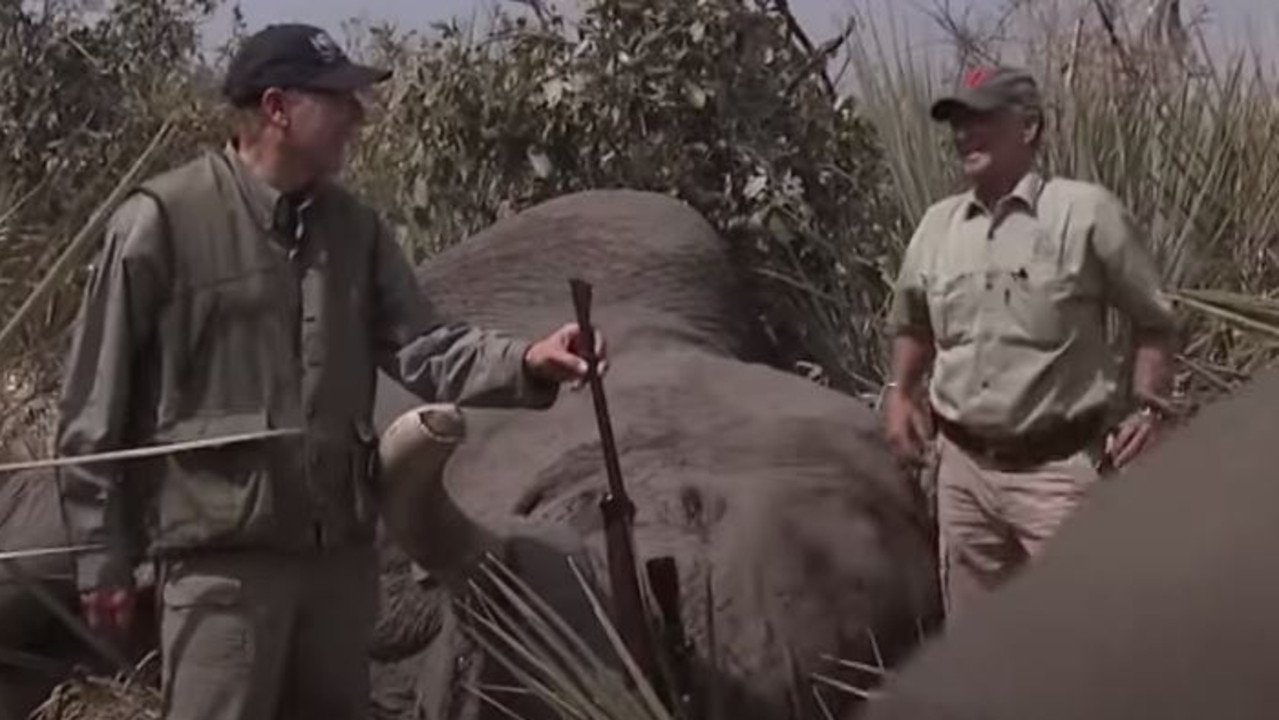 NRA head Wayne Lapierre shoots endangered elephant in Botswana | Video