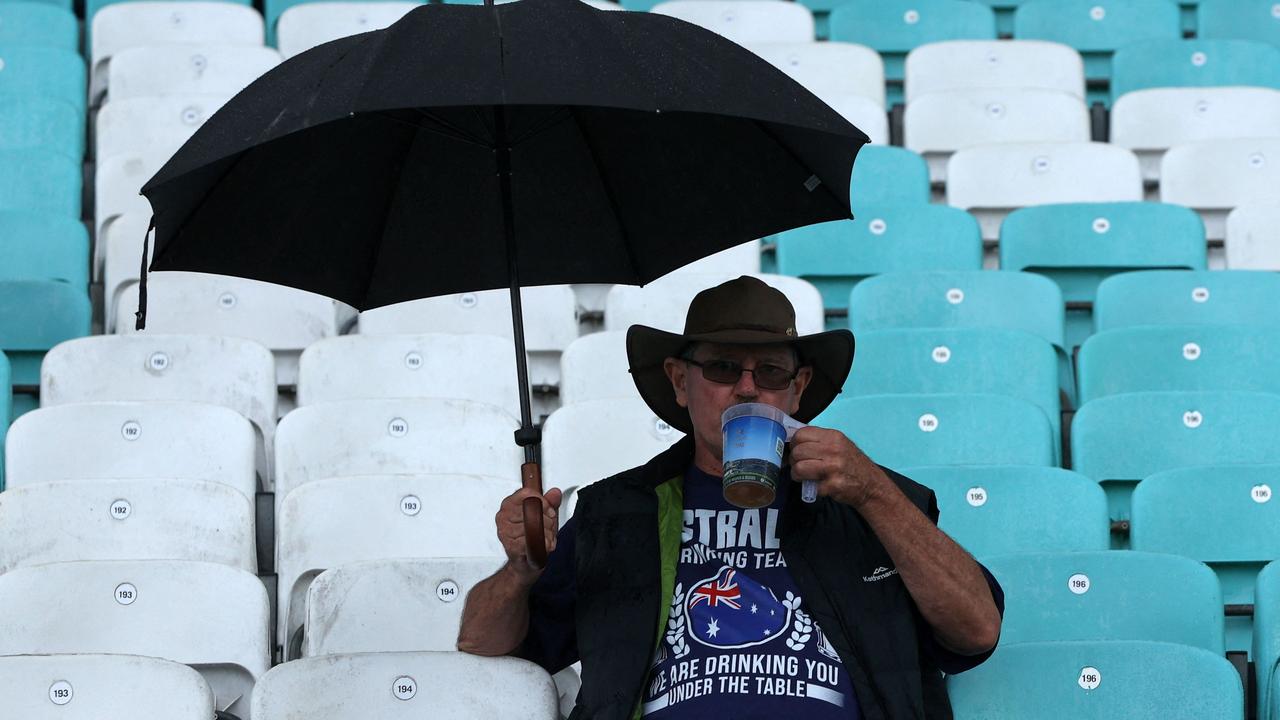 This fan is ready for cricket. (Photo by ADRIAN DENNIS / AFP