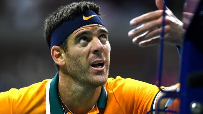 Juan Martin del Potro chats to the umpire. Picture: Getty