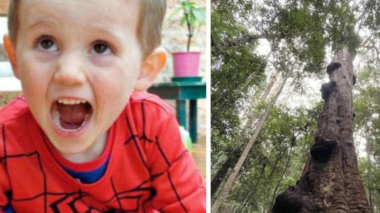Cop’s big call on William breakthrough