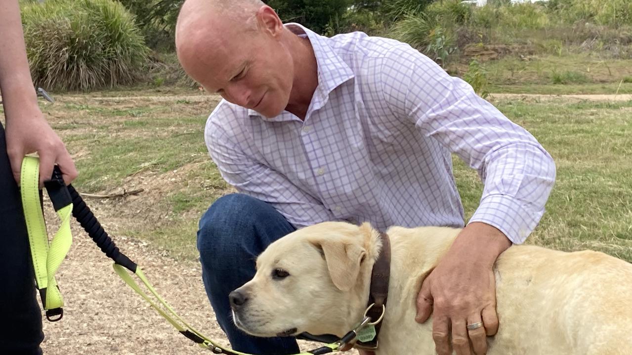 A “steep” rise in dog attacks across the region has forced the council to take a “no patience policy” over unleashed dogs, Mayor Glen Harwtwig said.