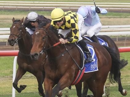 The promising Clear Thinking wins at Scone on June 23. She will step out in race four at Randwick on Saturday and is Ray Thomas' best bet of the day. Picture: Bradley Photos
