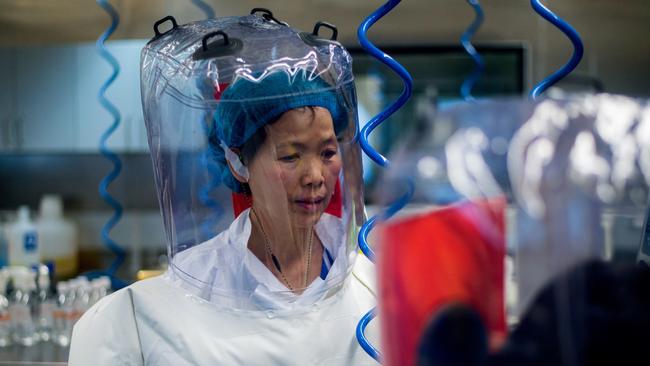 Chinese virologist Shi Zhengli inside the P4 laboratory in Wuhan. Picture: AFP