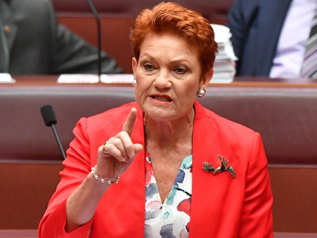 ‘Not a PM for the people’: Hanson backs Lib senator’s ScoMo bully claims