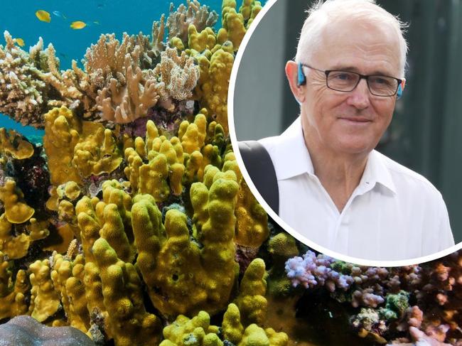 Turnbull’s savvy Great Barrier Reef investment