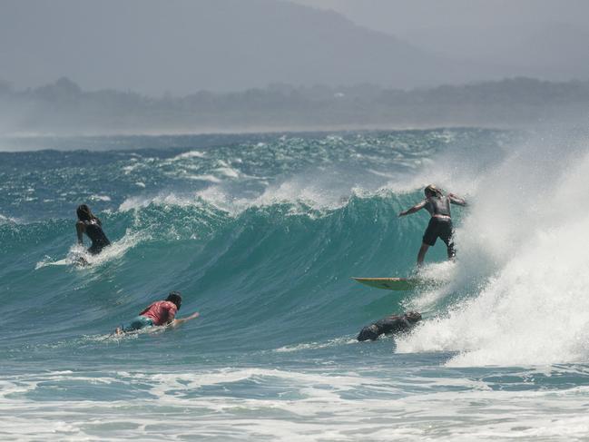 Surfers defy a beach closure at The Pass, Byron Bay to surf the large swell. Picture: NewsWire / Glenn Campbell