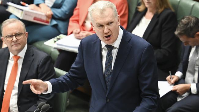 Minister for Home Affairs and Minister Tony Burke has been accused of making “a mess out of immigration”. Picture: NewsWire / Martin Ollman.