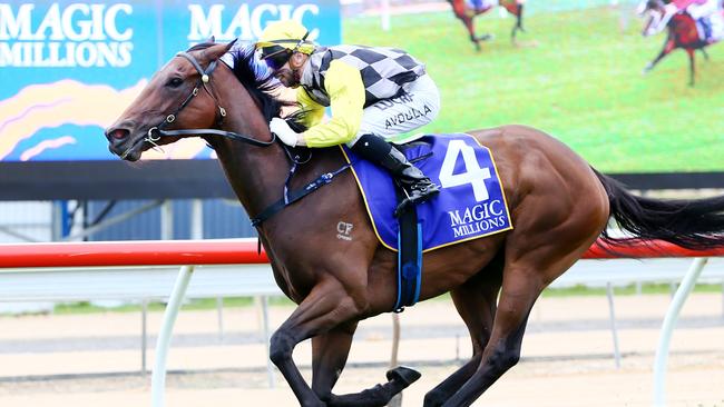 Baker also has Egyptian Symbol in the Tatts Tiara. Picture: Peter Clark