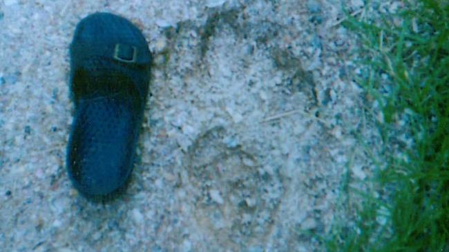 An alleged Yowie footprint found in the Gold Coast hinterland.