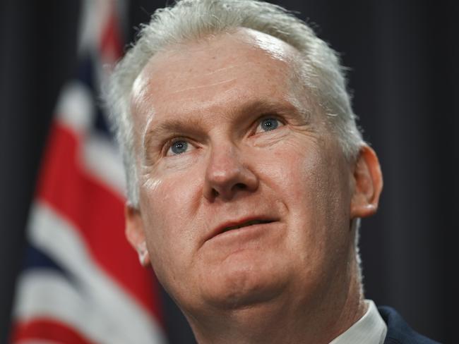 Federal Workplace Relations Minister Tony Burke has welcomed John Setka’s resignation. Picture: Martin Ollman