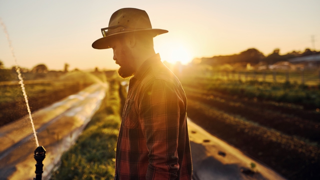 Young farmers stand by the allure of life on the land