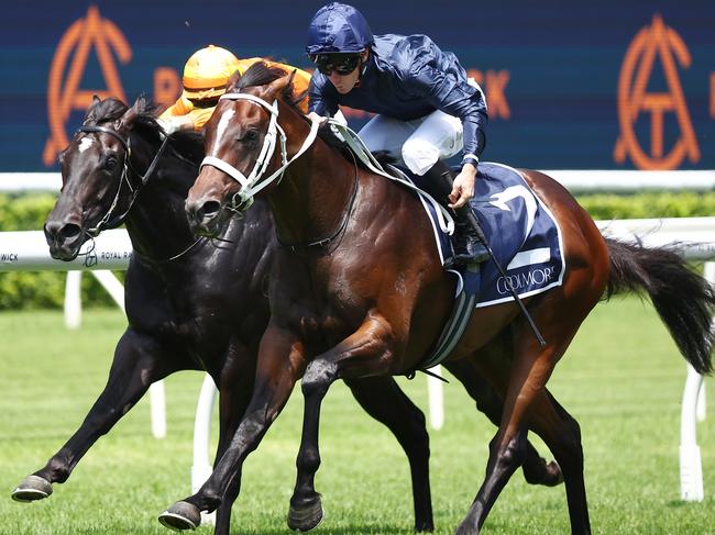 SYDNEY, AUSTRALIA - FEBRUARY 17: James Mcdonald riding Switzerland wins Race 1 Coolmore Pierro Plate during "Apollo Stake s Day" - Sydney Racing at Royal Randwick Racecourse on February 17, 2024 in Sydney, Australia. (Photo by Jeremy Ng/Getty Images)