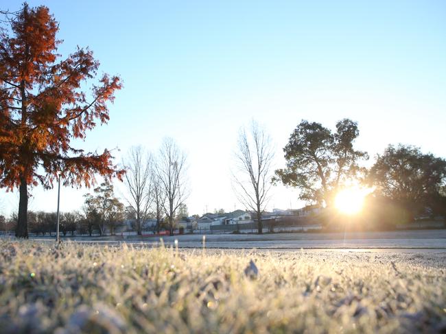 Cold weather in Stanthorpe.  Pic Peter Wallis