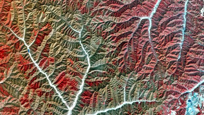 There’s a river cutting through mountains here. The red and brown show different types of shrubs, trees and grass.