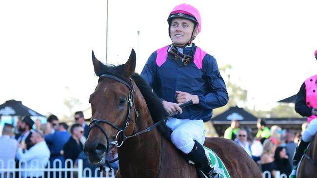 Leading runner Holyfield is also nominated for Saturday’s Doomben race meeting. Picture: Grant Peters - Trackside Photography.