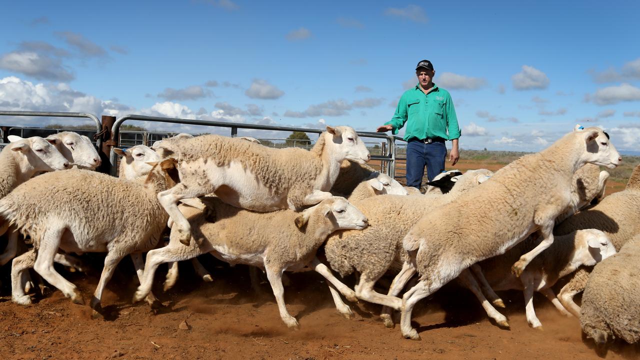 The deal sought to push Australian products like dairy, sugar and meat, into Europe without tariffs and quotas. Picture: Kelly Barnes/The Australian.