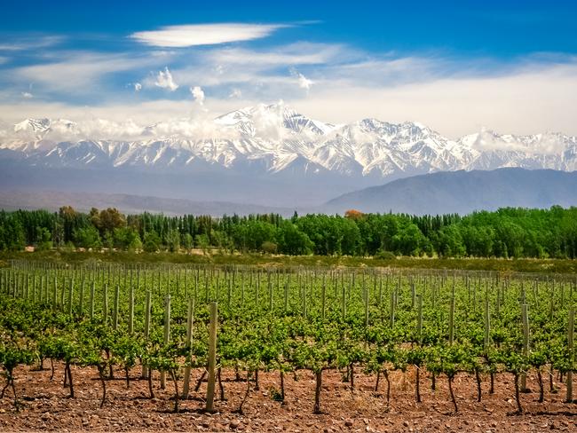 TASTE WINE IN MENDOZA, ARGENTINA Plan to spend two or three days in Mendoza, Argentina. The city and it surroundings are home to hundreds of vineyards, with the bulk in Lujan de Cuyo, Maipu and Uco Valley. To visit them, book a tour or hire a private driver. Soak in the Andean scenery with a glass of footpressed wine in hand.