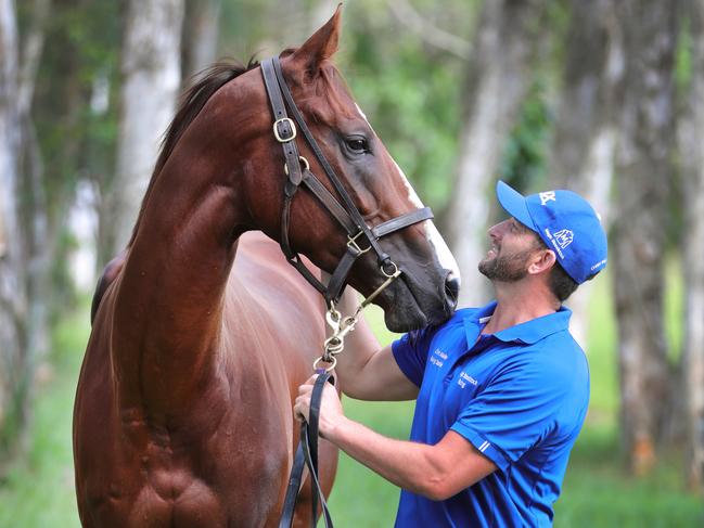 Mare  Sexy Eyes and Gold Coast foreman Paul Shailer from Chris Waller's Gold coast stables, go for a stroll. Picture Glenn Hampson