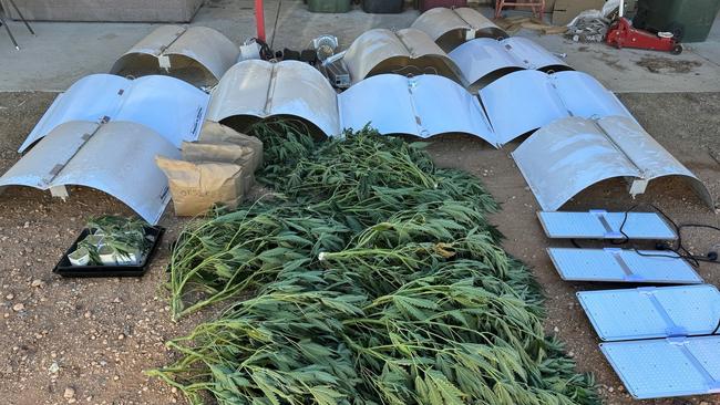 As well as the cannabis plants, police say they found a large amount of dried cannabis ready for sale, scales, resealable bags and other items. Picture: SA Police