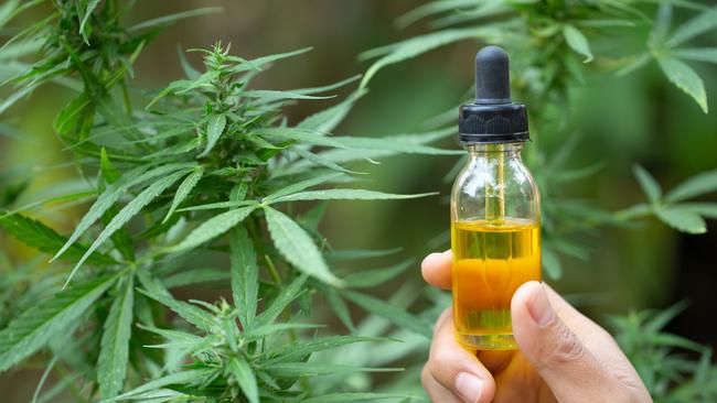 A Gympie woman has told the region’s Magistrates COurt she began growing her own marijuana plant becasue the cost of buying CBD oil was too high. Picture: Istock