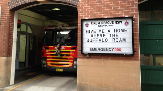 Newtown Fire Station has become known for its quirky, attention-grabbing noticeboard messages.