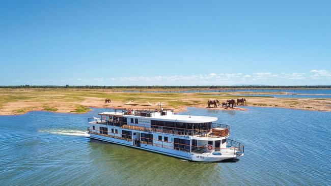 African Dream Cruise on the Chobe River, Botswana.