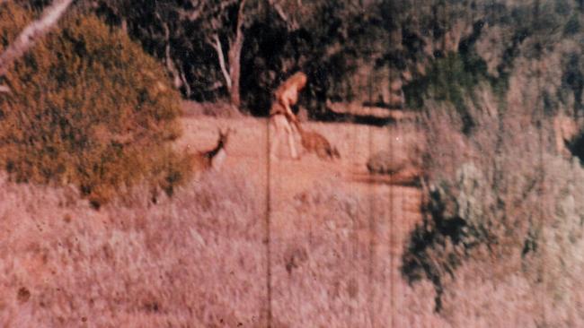 Stills taken from original 8mm camera film footage taken of the Nullarbor Nymph in 1971.