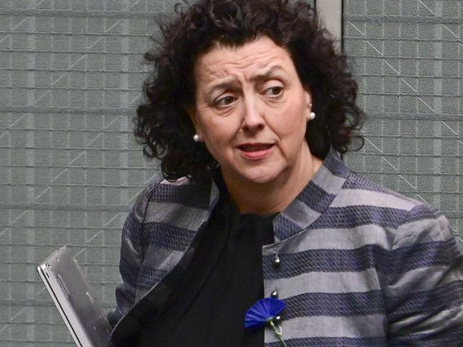 CANBERRA, Australia - NewsWire Photos - June 24, 2024:  Sophie Scamps and Monique Ryan during Question Time at Parliament House in Canberra. Picture: NewsWire / Martin Ollman