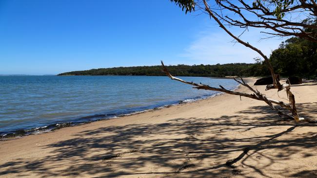 Pristine French Island is home to about 260 bird species.